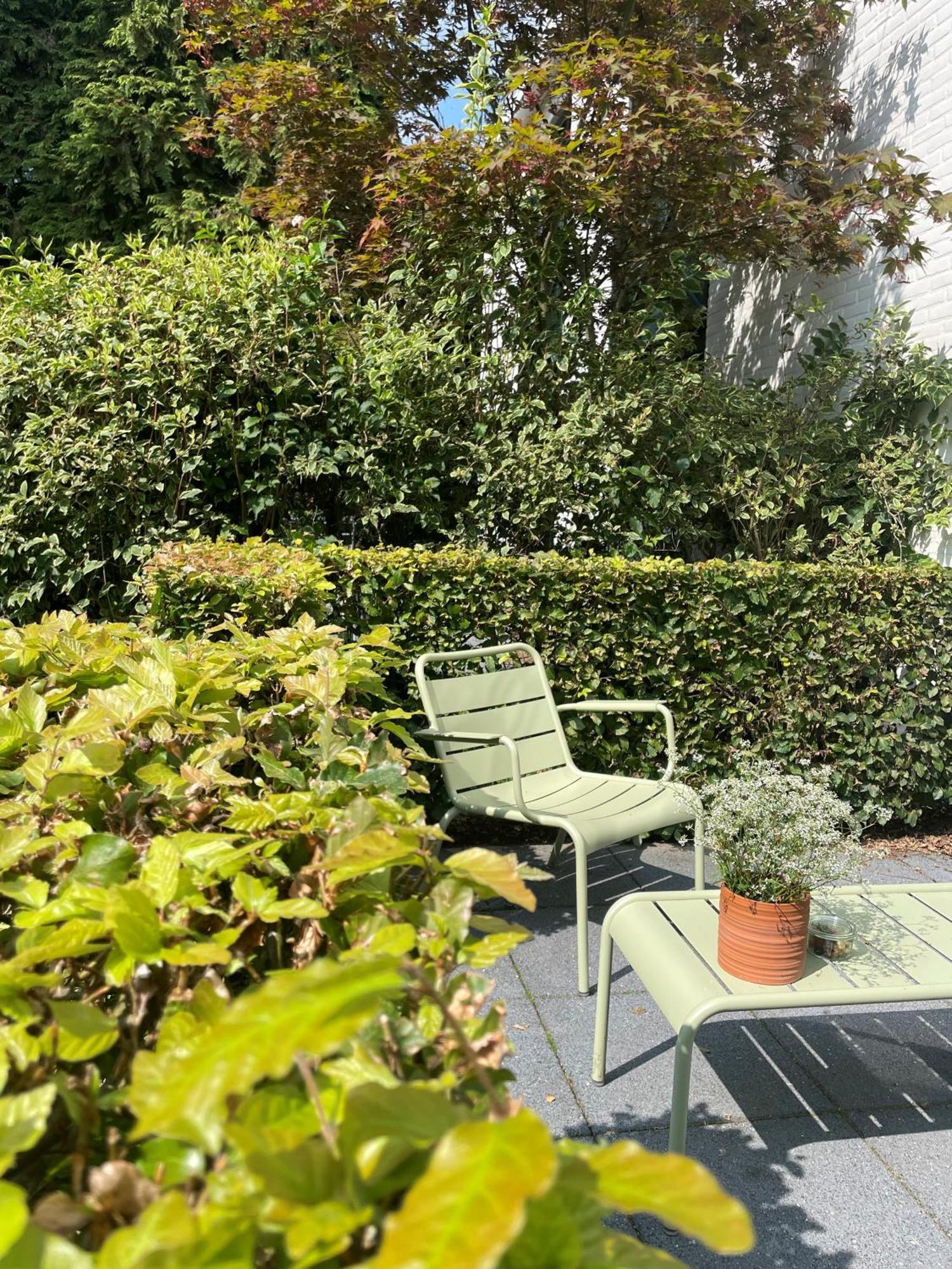 Witte Berken Natuurhotel 에페 외부 사진