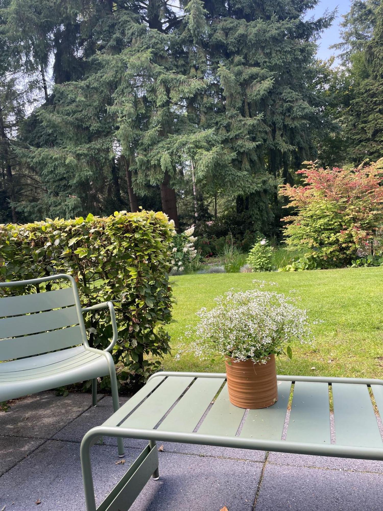 Witte Berken Natuurhotel 에페 외부 사진