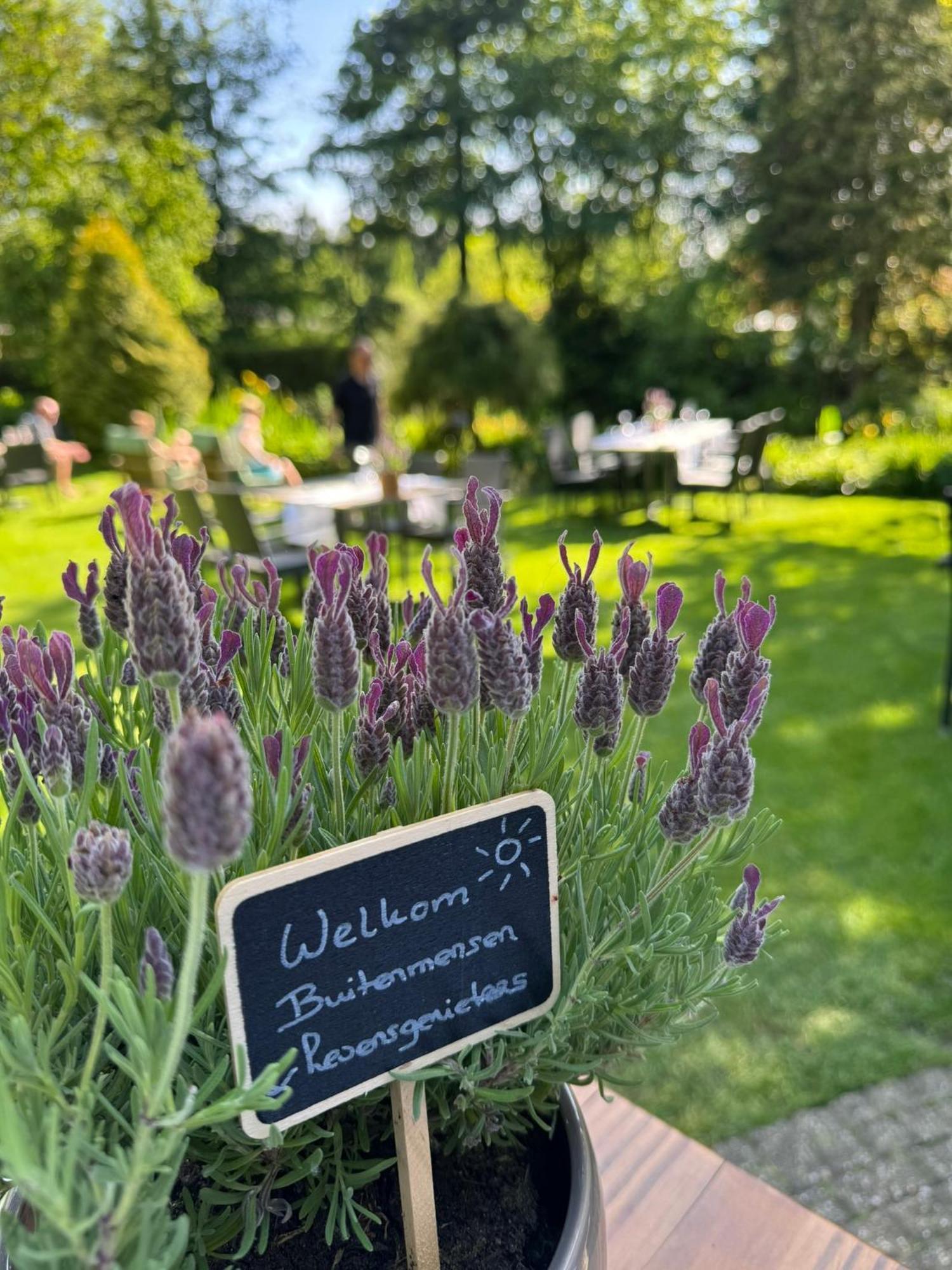 Witte Berken Natuurhotel 에페 외부 사진