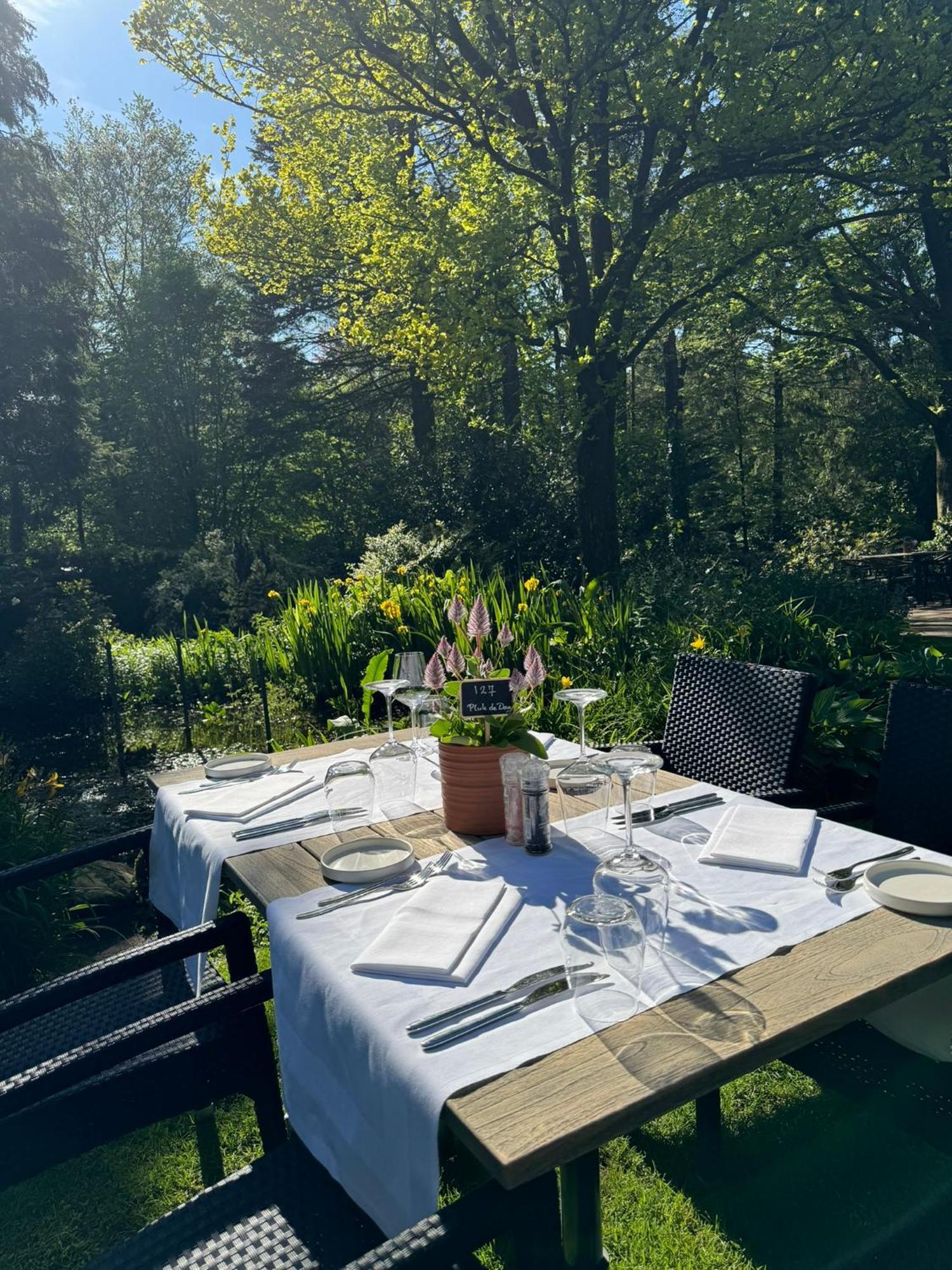 Witte Berken Natuurhotel 에페 외부 사진
